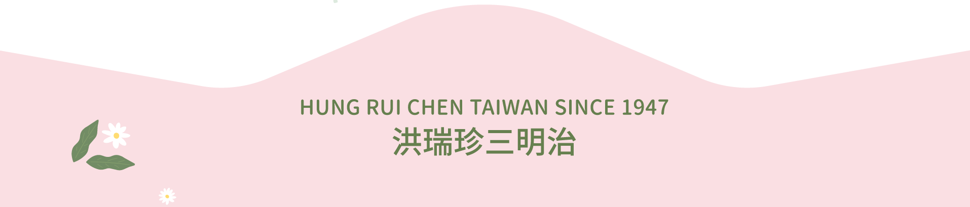 洪瑞珍文字介紹